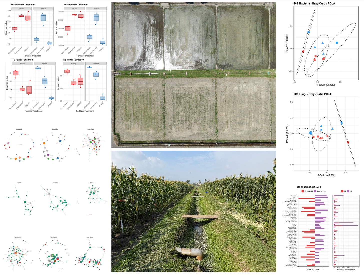 Disease-suppressive soil research photo